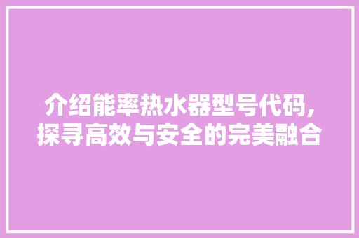 介绍能率热水器型号代码,探寻高效与安全的完美融合