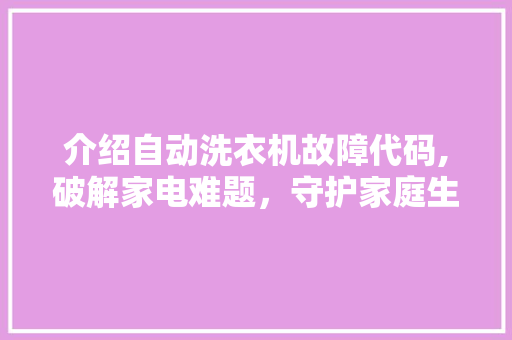 介绍自动洗衣机故障代码,破解家电难题，守护家庭生活品质