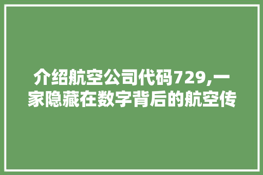 介绍航空公司代码729,一家隐藏在数字背后的航空传奇