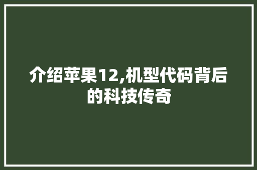 介绍苹果12,机型代码背后的科技传奇