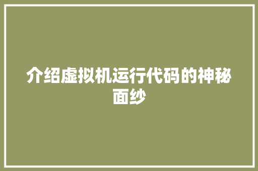 介绍虚拟机运行代码的神秘面纱