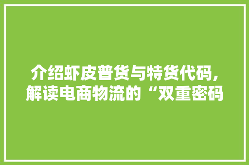 介绍虾皮普货与特货代码,解读电商物流的“双重密码”