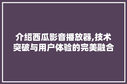 介绍西瓜影音播放器,技术突破与用户体验的完美融合