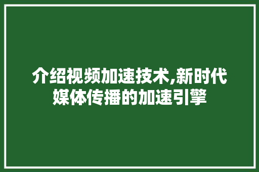 介绍视频加速技术,新时代媒体传播的加速引擎