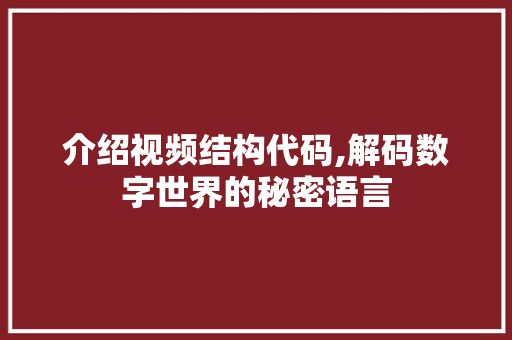 介绍视频结构代码,解码数字世界的秘密语言