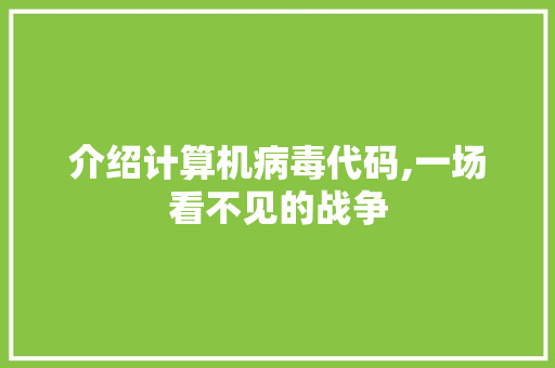 介绍计算机病毒代码,一场看不见的战争