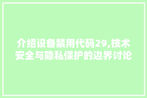 介绍设备禁用代码29,技术安全与隐私保护的边界讨论