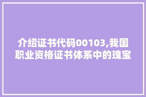 介绍证书代码00103,我国职业资格证书体系中的瑰宝