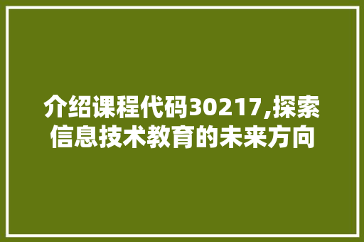 介绍课程代码30217,探索信息技术教育的未来方向