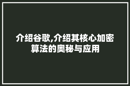 介绍谷歌,介绍其核心加密算法的奥秘与应用