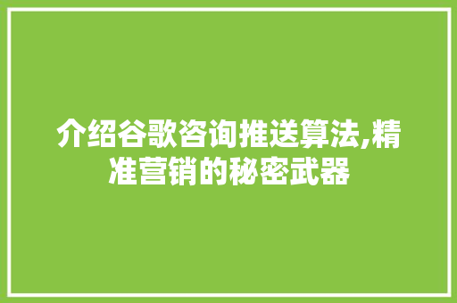 介绍谷歌咨询推送算法,精准营销的秘密武器