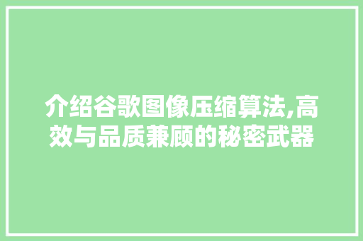 介绍谷歌图像压缩算法,高效与品质兼顾的秘密武器