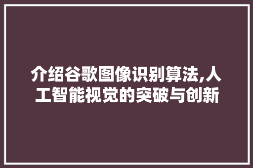 介绍谷歌图像识别算法,人工智能视觉的突破与创新