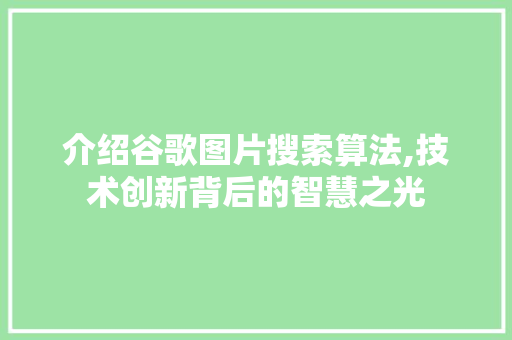 介绍谷歌图片搜索算法,技术创新背后的智慧之光