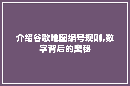 介绍谷歌地图编号规则,数字背后的奥秘