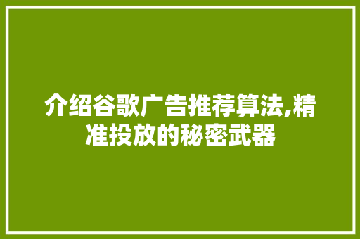 介绍谷歌广告推荐算法,精准投放的秘密武器