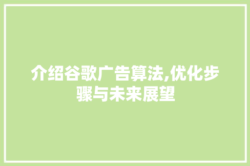 介绍谷歌广告算法,优化步骤与未来展望