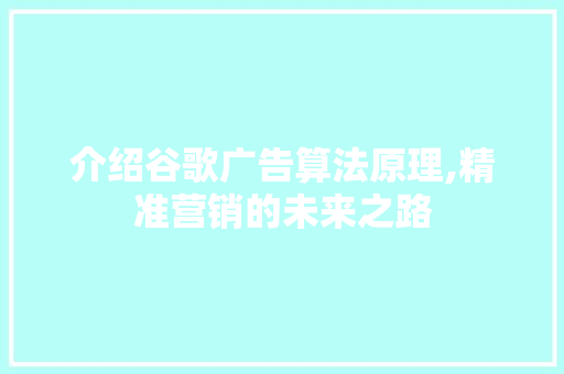 介绍谷歌广告算法原理,精准营销的未来之路