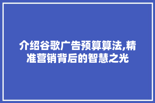 介绍谷歌广告预算算法,精准营销背后的智慧之光