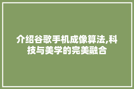 介绍谷歌手机成像算法,科技与美学的完美融合