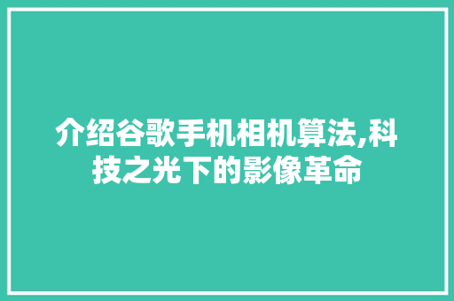 介绍谷歌手机相机算法,科技之光下的影像革命