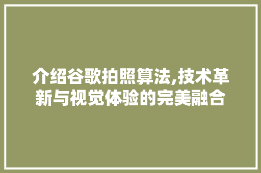 介绍谷歌拍照算法,技术革新与视觉体验的完美融合