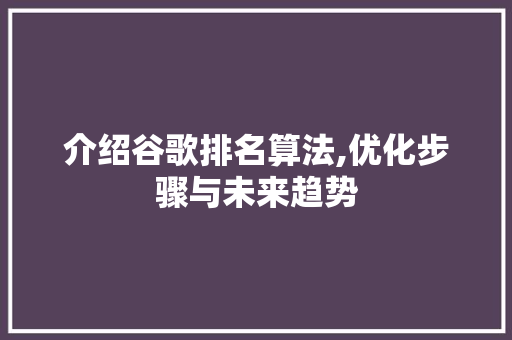 介绍谷歌排名算法,优化步骤与未来趋势