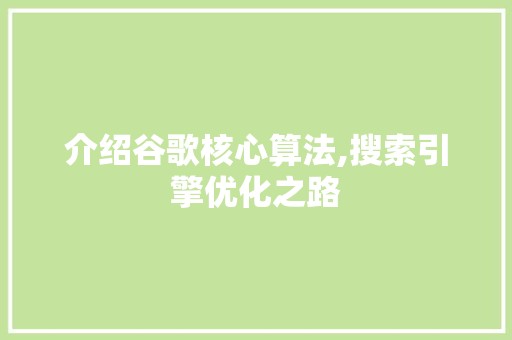 介绍谷歌核心算法,搜索引擎优化之路