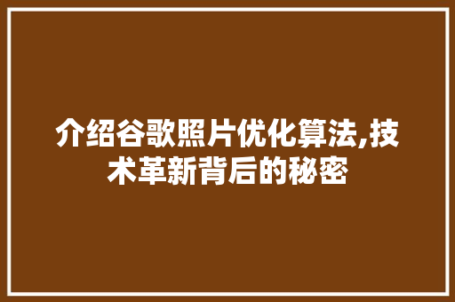 介绍谷歌照片优化算法,技术革新背后的秘密