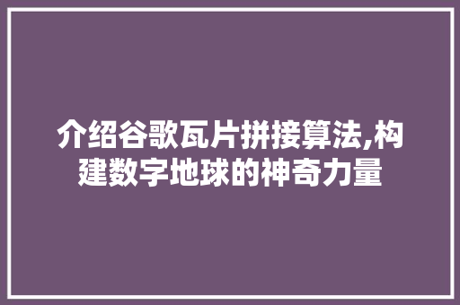 介绍谷歌瓦片拼接算法,构建数字地球的神奇力量