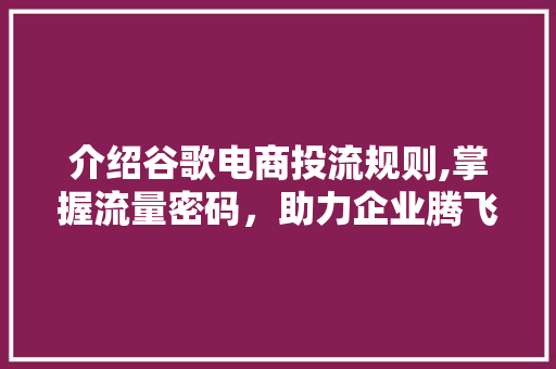 介绍谷歌电商投流规则,掌握流量密码，助力企业腾飞