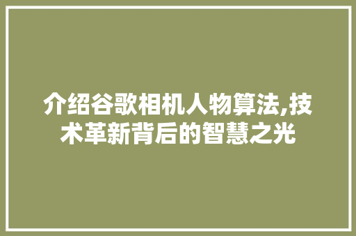 介绍谷歌相机人物算法,技术革新背后的智慧之光