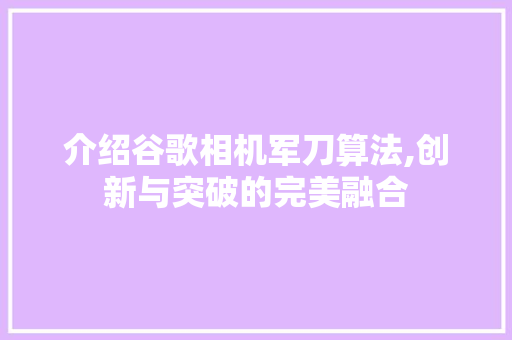 介绍谷歌相机军刀算法,创新与突破的完美融合