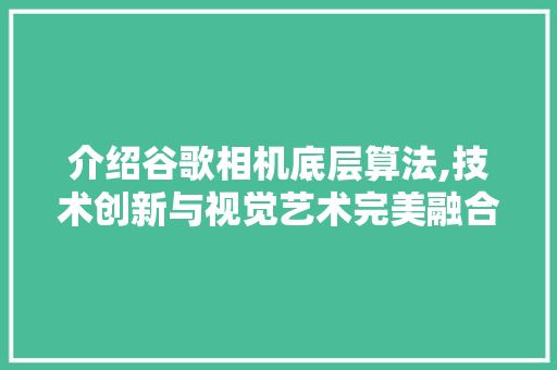 介绍谷歌相机底层算法,技术创新与视觉艺术完美融合