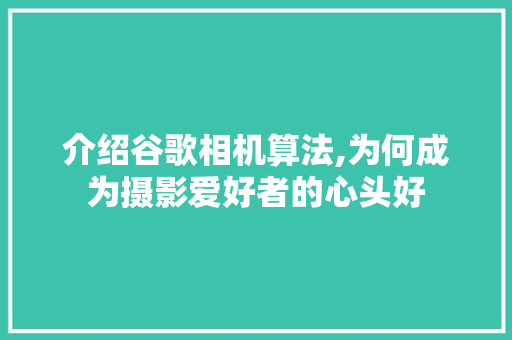 介绍谷歌相机算法,为何成为摄影爱好者的心头好