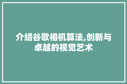 介绍谷歌相机算法,创新与卓越的视觉艺术