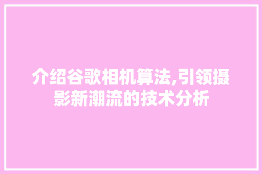 介绍谷歌相机算法,引领摄影新潮流的技术分析