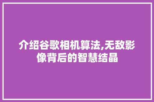 介绍谷歌相机算法,无敌影像背后的智慧结晶