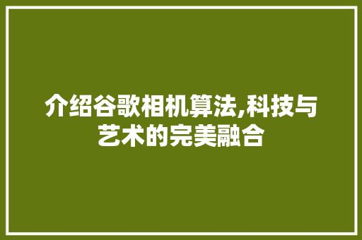 介绍谷歌相机算法,科技与艺术的完美融合