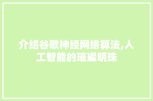 介绍谷歌神经网络算法,人工智能的璀璨明珠