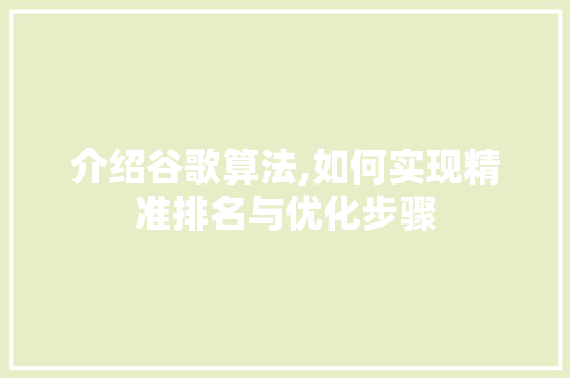 介绍谷歌算法,如何实现精准排名与优化步骤