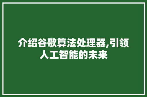 介绍谷歌算法处理器,引领人工智能的未来