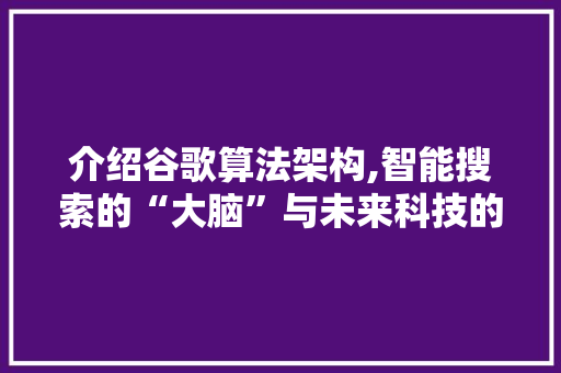 介绍谷歌算法架构,智能搜索的“大脑”与未来科技的风向标