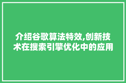 介绍谷歌算法特效,创新技术在搜索引擎优化中的应用