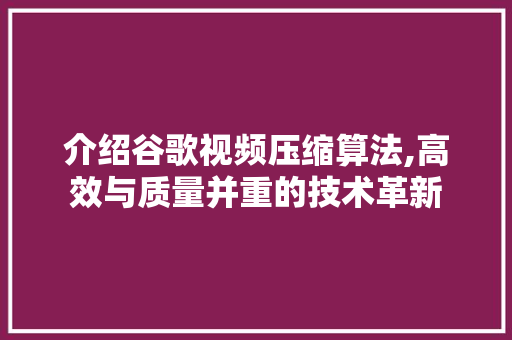 介绍谷歌视频压缩算法,高效与质量并重的技术革新