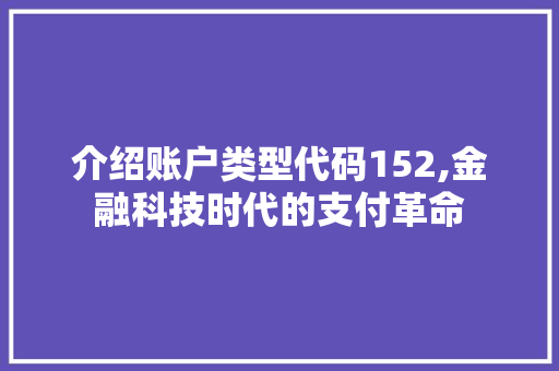 介绍账户类型代码152,金融科技时代的支付革命