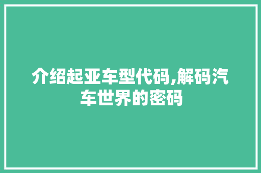 介绍起亚车型代码,解码汽车世界的密码