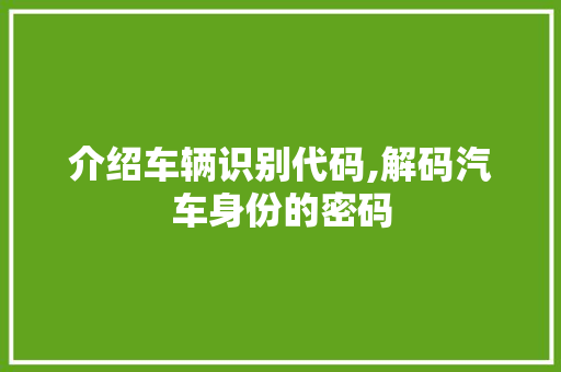 介绍车辆识别代码,解码汽车身份的密码