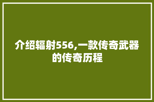 介绍辐射556,一款传奇武器的传奇历程