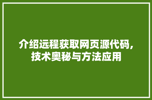 介绍远程获取网页源代码,技术奥秘与方法应用